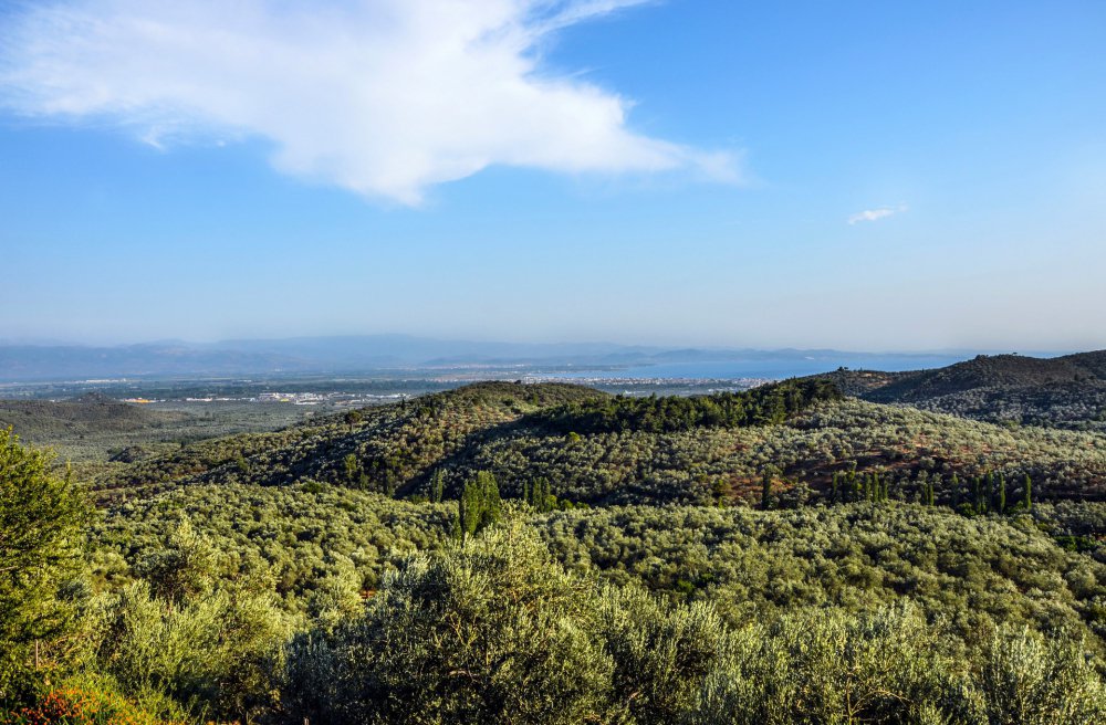Kazdağları