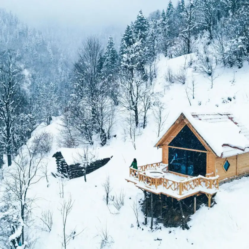 Rize Yayla Bungalovları