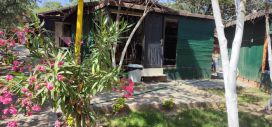 Cennet Kamp Bungalow