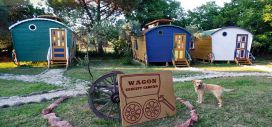 Wagon Concept Camping