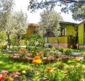 Ela Ela Bungalow Evler