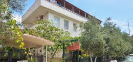 Elif Pansiyon Sarımsaklı