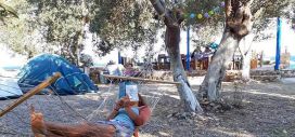 Keçi Camping Assos