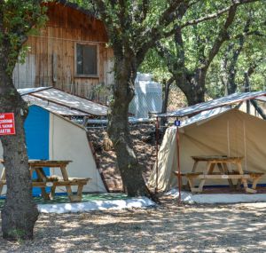 Ela Ela Çadır Kamp