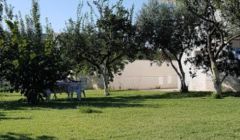 Bahçemiz -  Ercan Butik Otel - Turanköy