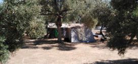 Tuğrul Camping