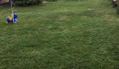 Geniş bir alan olan pansiyon bahçemiz