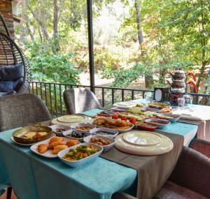 Ayazlı Kahvaltı Ve Piknik Yeri