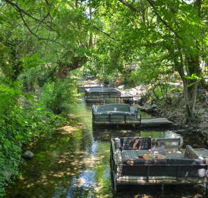 Naturland Piknik ve Kahvaltı Alanı